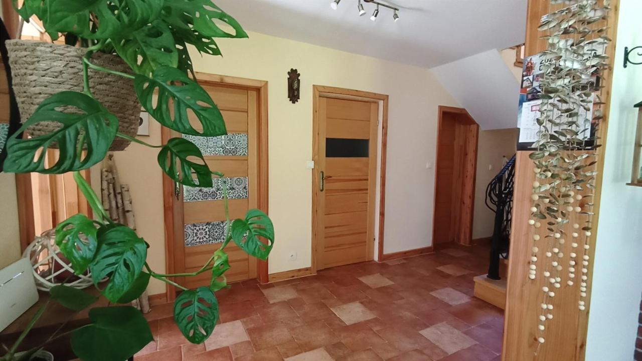 Zacisze Drwala Guest House Lutowiska Ngoại thất bức ảnh
