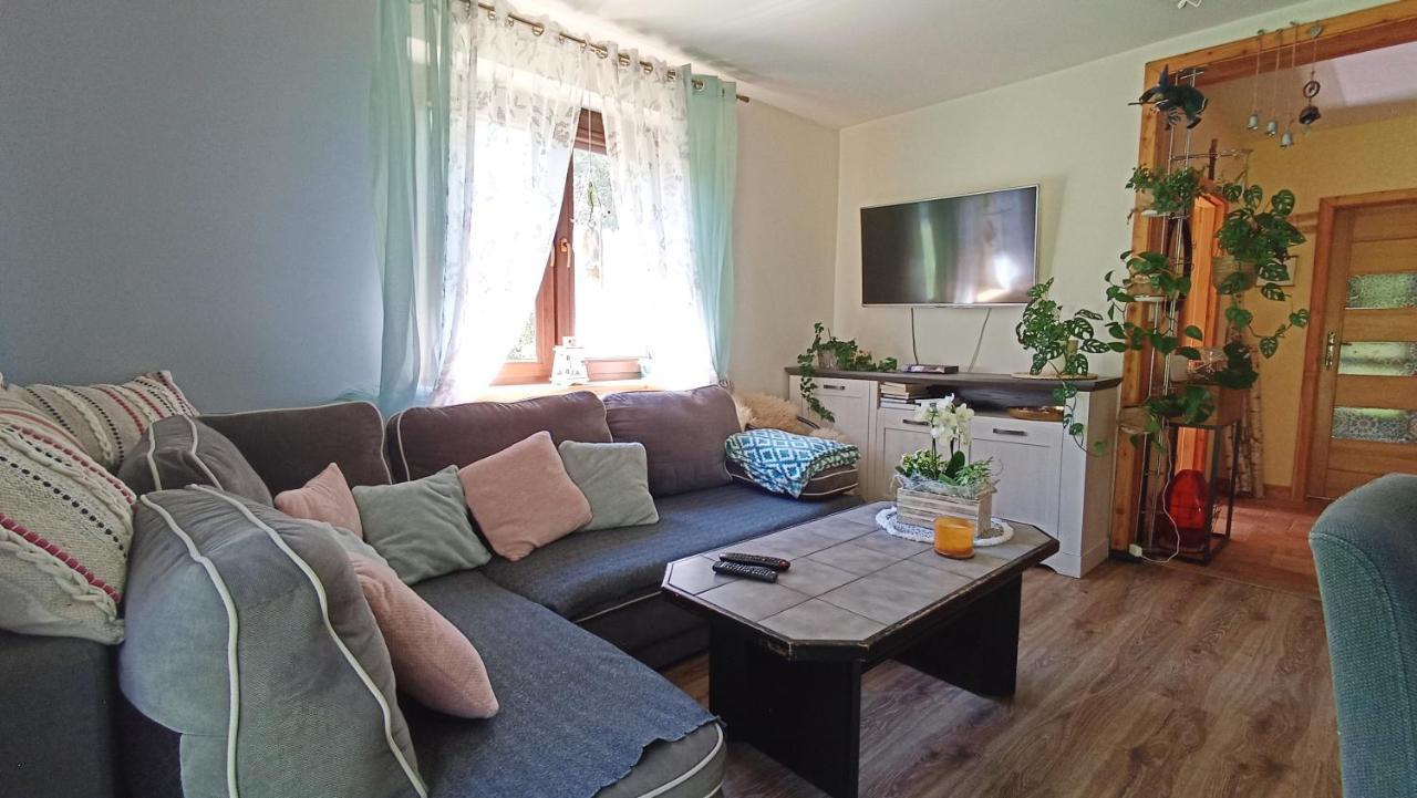 Zacisze Drwala Guest House Lutowiska Ngoại thất bức ảnh