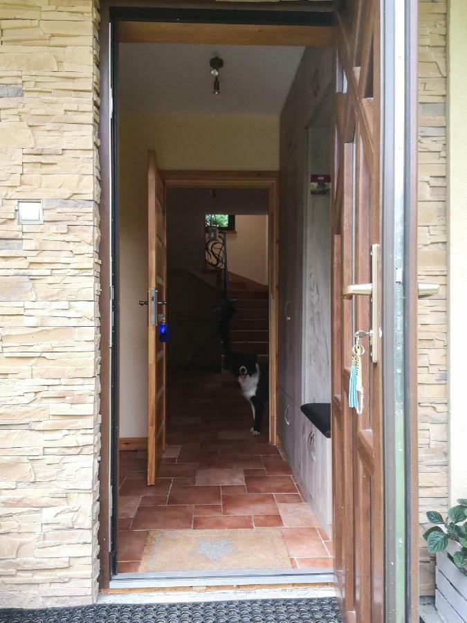 Zacisze Drwala Guest House Lutowiska Ngoại thất bức ảnh