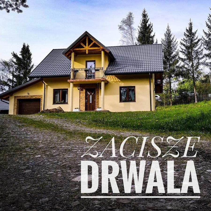 Zacisze Drwala Guest House Lutowiska Ngoại thất bức ảnh